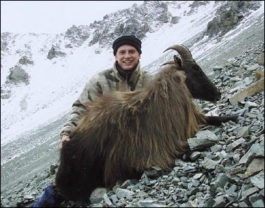 Himalayan Bull Tahr